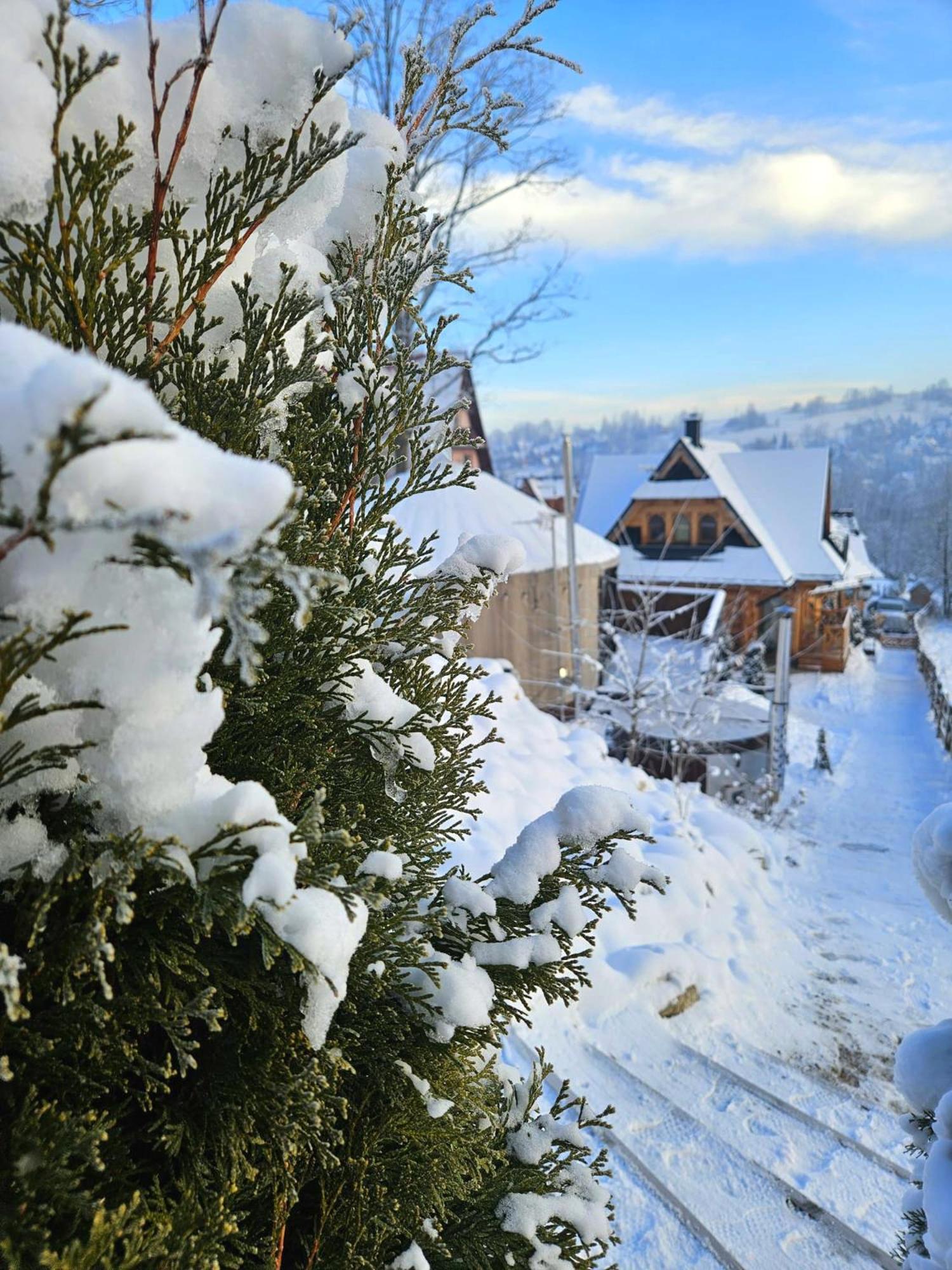 Goralska Chatka 2 Highland Cottage - Split Ac, Jacuzzi, Sauna, Private Parking, Mountains View, Garden, Ζακοπάνε Εξωτερικό φωτογραφία